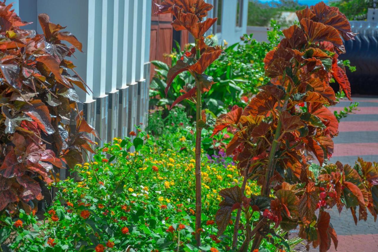Johnsons Villas Zame エクステリア 写真